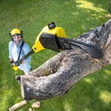 Best Hedge Trimming  in Jonesville, VA