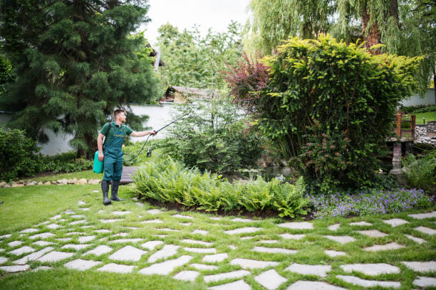 Best Lawn Irrigation Installation and Maintenance  in Jonesville, VA